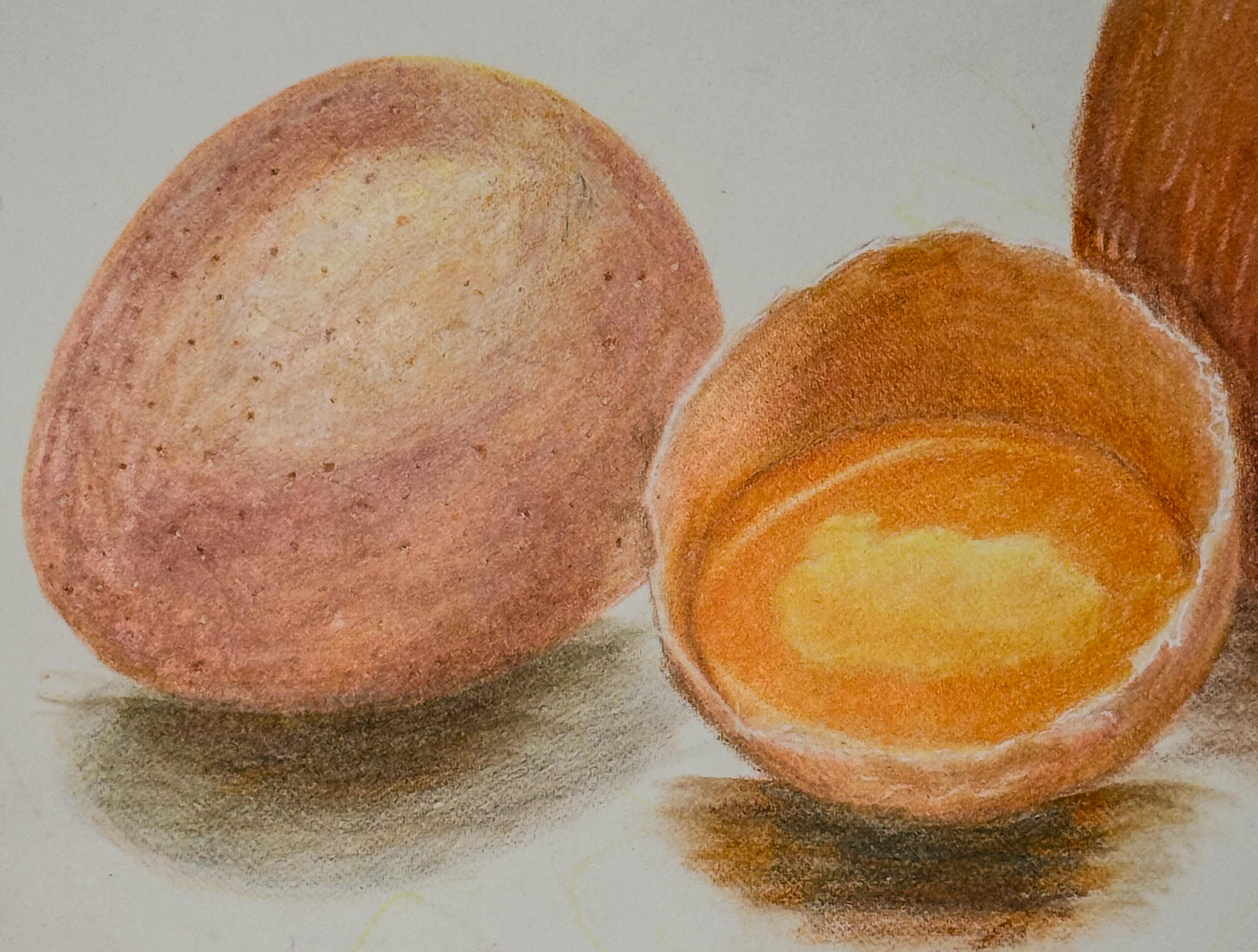 Untitled | Coloured Pencils on Sketchpad | 2023